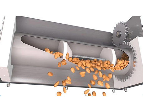Sistema de acero inoxidable de la cinta transportadora para los polvos de la comida